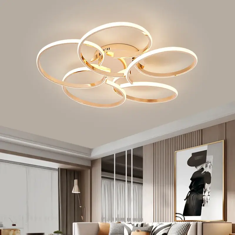 Modern creative design led ceiling light for indoor use Dernière Chance