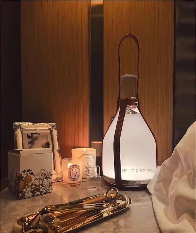 Bon Plan Portable leather bedside lamp with touch charger