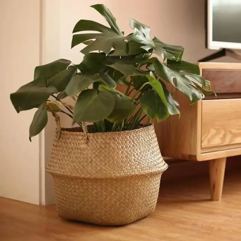 Pas Cher Hanging wicker basket for flowers or storage