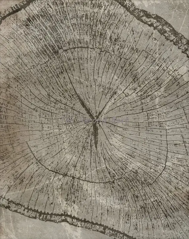 Soldes Abstract tree ring wall art posters for decoration