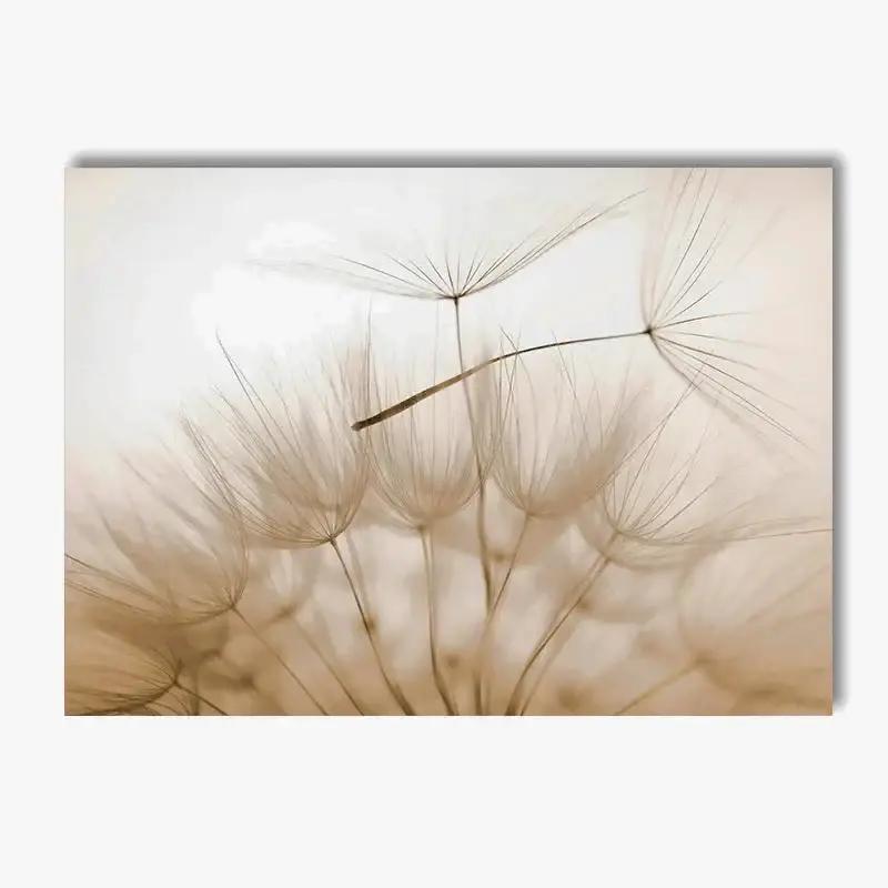Solde Nature wall art with birds, flowers and prints