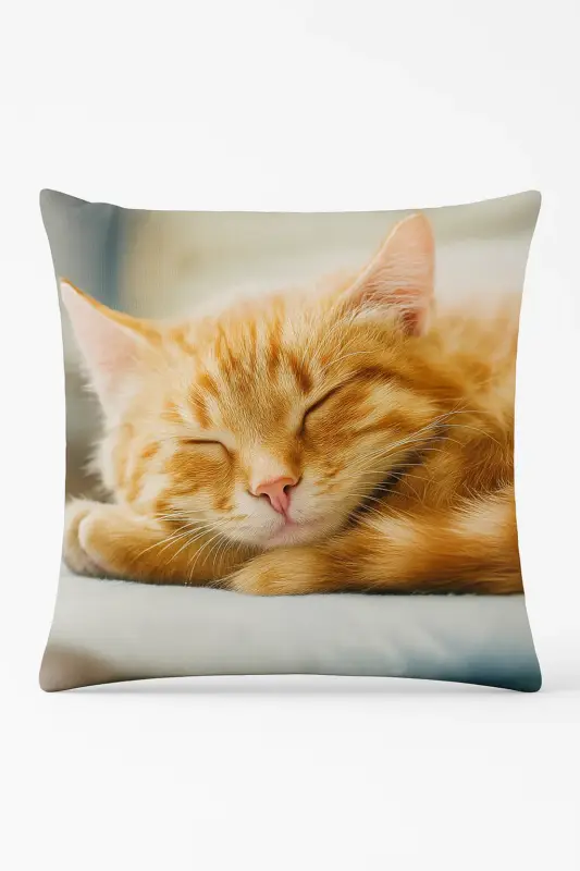 Acheter Direct Decorative cushion cover with cute cat design
