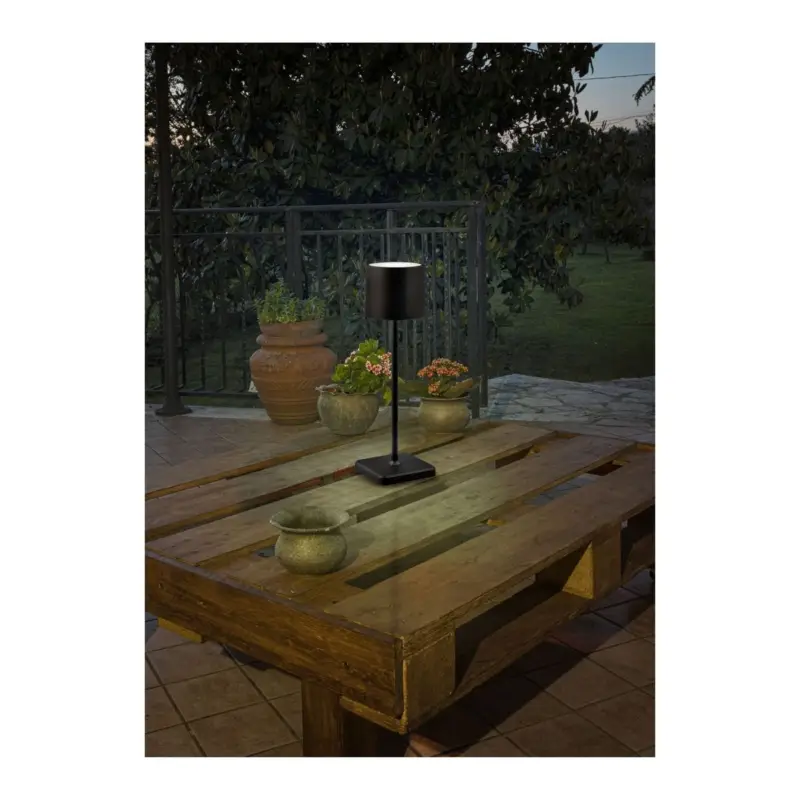 Meilleure Vente Lampe extérieure FERNANDEZ 1x1W Noir mat