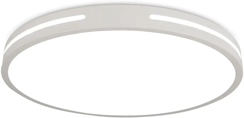 Plafonniers LED, Lampe de plafond Moderne Simple, Diamètre 30 cm Blanc 6500K, Luminaire Plafonnier Rond pour Salon Balcon Couloir Chambre Éclairage Offre Spéciale
