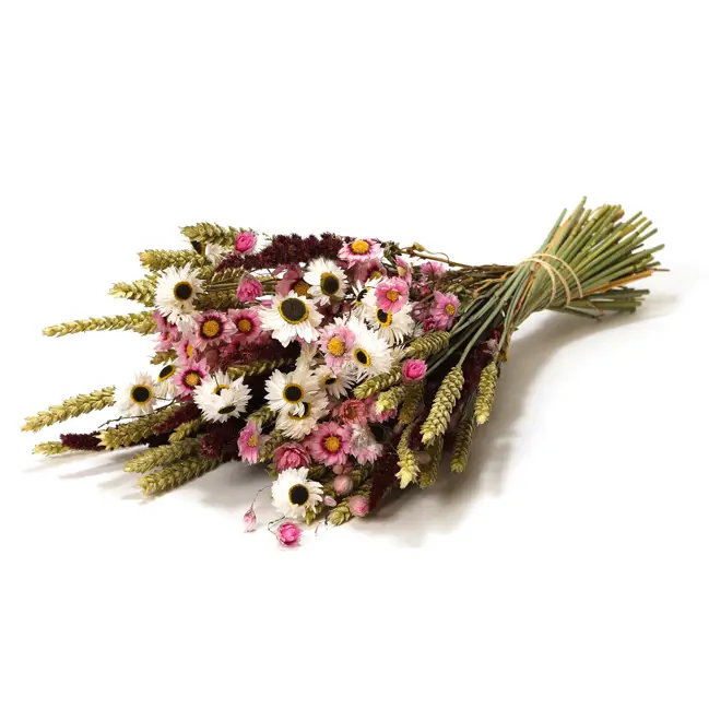 Grand bouquet fleurs séchées Offre Spéciale
